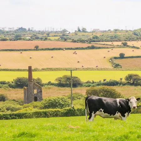 The Old Cows House Helston